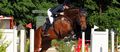 ANTONIA VOGEL WIRD BEIM INTERNATIONALEN FESTHALLENTURNIER IN FRANKFURT IN DER SPOOKS-AMATEUR TROPHY AN DEN START GEHEN.
